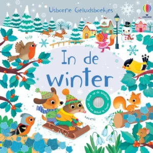 In de winter (geluidenboek)