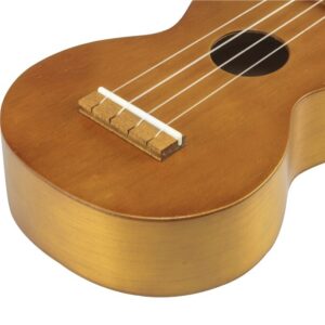 Snaarinstrumenten