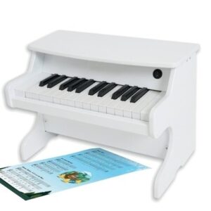 Toetsinstrumenten