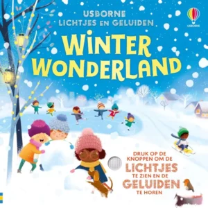 Winter wonderland - lichtjes en geluiden